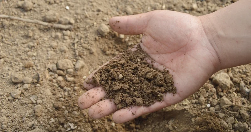 Comment optimiser son composteur pour la biodiversité